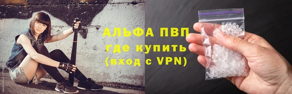 крисы Баксан