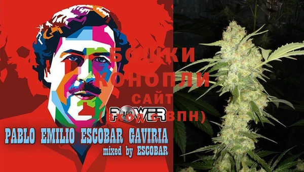 крисы Баксан
