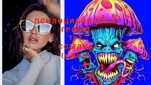 крисы Баксан