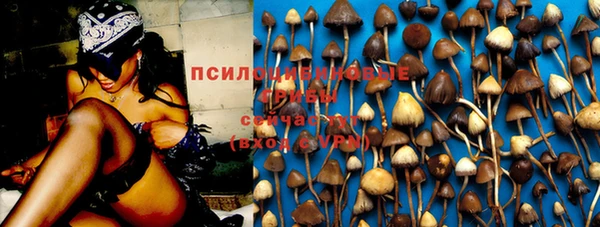 spice Балабаново