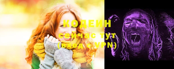 крисы Баксан